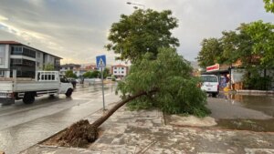 erzincanda-siddetli-ruzgar-ve-sel-M6aNHzr4.jpg