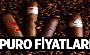 Puro Fiyatlari 1024x622zLd.jpg