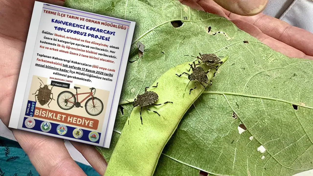 kokarca toplama projesine chpden tepki bilimle mucadele edecegimize cocuklari kullaniyoruz vNNTMmIJ.jpg