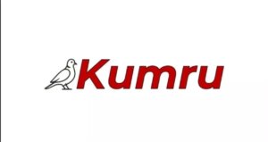 kumru ai sahibi kim yerli yapay zeka kumru ai kurucusu kim icJLzFXS.jpg