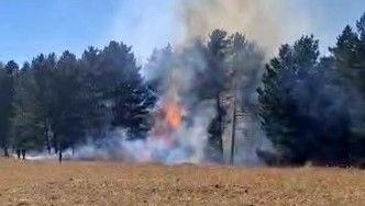 sarikamista orman yangini SDjND99h.jpg