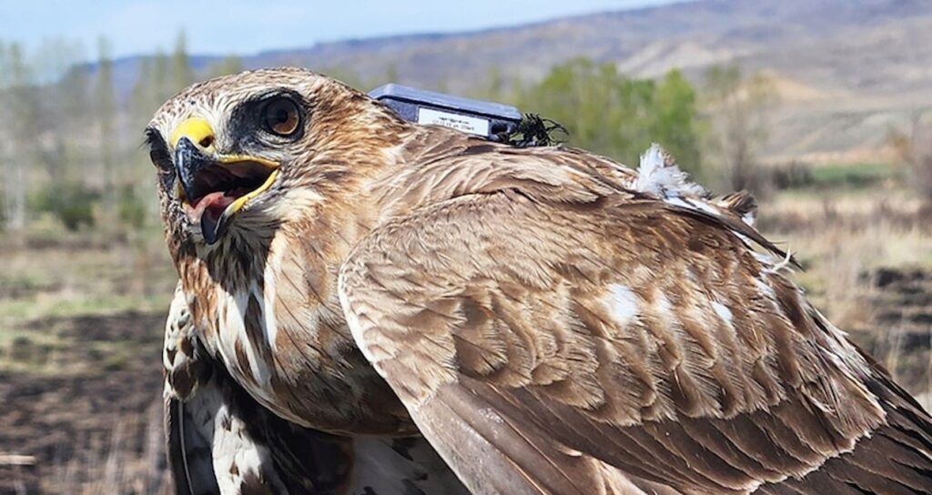 2 yilda 28 ulkede 103 bin km uctu 9WGsQ8Fk.jpg