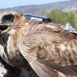 2 yılda, 28 ülkede 103 bin km uçtu