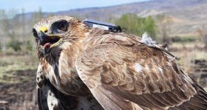 2 yilda 28 ulkede 103 bin km uctu 9WGsQ8Fk.jpg