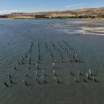 Endişelendiren görüntü… Van Gölü seviyesi düşüyor: Bu sefer de asırlık iskelenin ayakları çıktı!