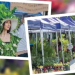 İzmir Balkon ve Bahçe Bitkileri Festivali’ne hazırlanıyor