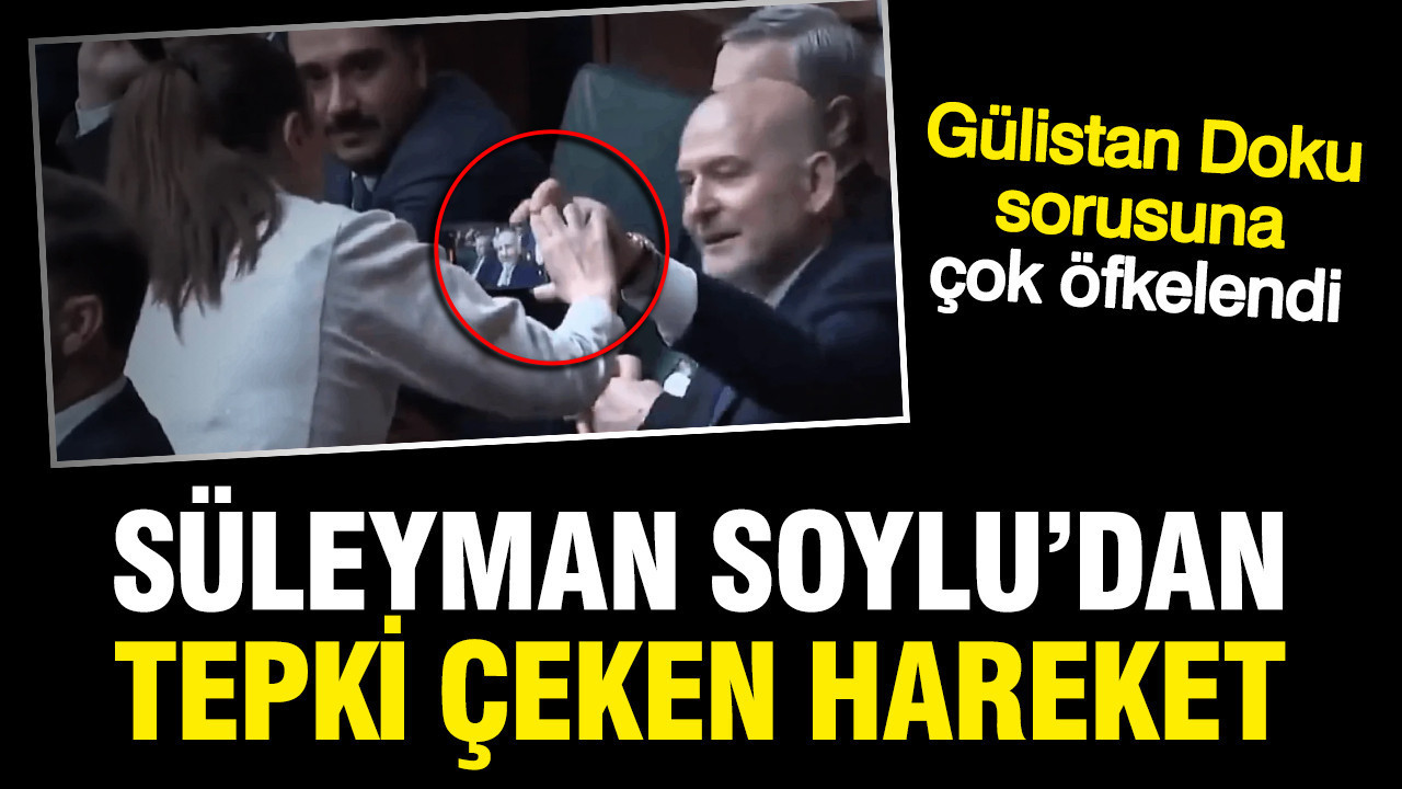 Süleyman Soylu’dan Gülistan Doku Sorusu Üzerine Sinirli Tepki