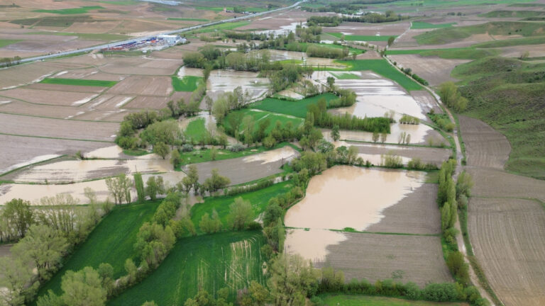 saganak-sonrasi-sel-vurdu-ekili-alanlar-zarar-gordu-KsaYFSqN
