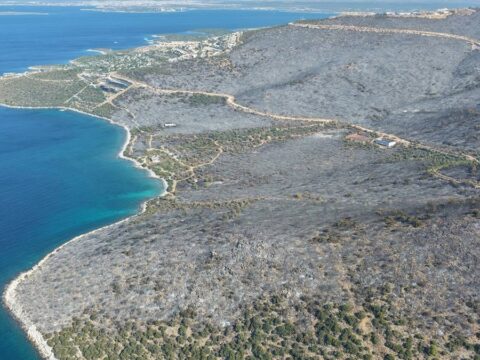 Bir otellik orman kul oldu CwtQZaZK